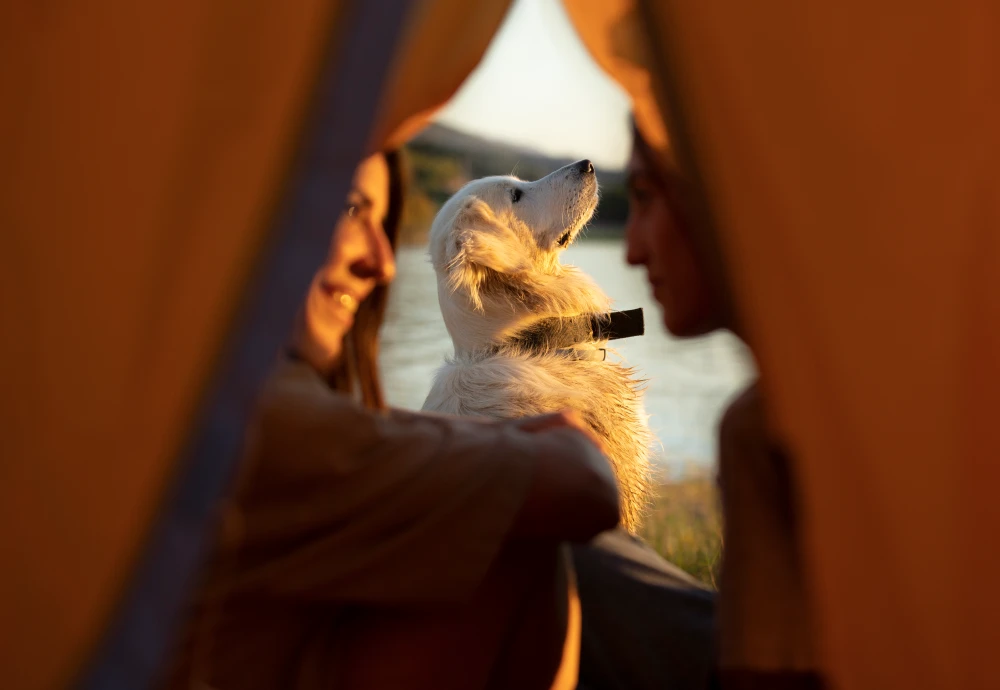 pyramid style tents