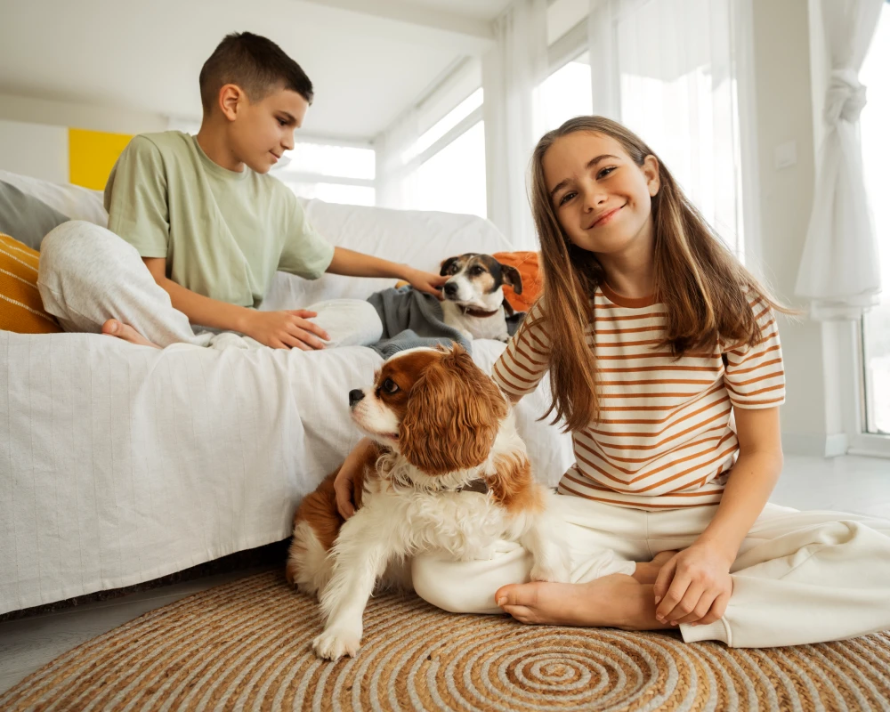 best automatic pet feeder with camera